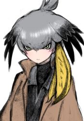 Rule 34 | 1girl, black sweater, closed mouth, feather hair ornament, feathers, grey hair, hair between eyes, hair ornament, ise (0425), jacket, kemono friends, long sleeves, medium hair, shirt, shoebill (kemono friends), solo, sweater, white background, wings, yellow eyes