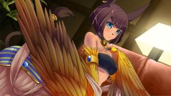 Rule 34 | 1girl, animal ears, artist request, bare shoulders, blue eyes, blue eyeshadow, breasts, brown hair, earrings, eyeshadow, feathered wings, game cg, jewelry, lion tail, makeup, monster girl, monster musume no iru nichijou, monster musume no iru nichijou online, nemes (monster musume), official art, short hair, small breasts, solo, tail, tan, taur, winged arms, wings
