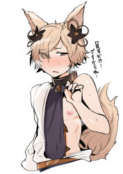 Rule 34 | 1boy, absurdres, animal ears, blush, brown eyes, brown hair, collar, covered navel, erune, granblue fantasy, hair over one eye, highres, kou (granblue fantasy), looking at viewer, male focus, metal collar, nipples, one eye covered, short hair, simple background, solo, tail, wakamesan, white background