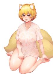 Rule 34 | 1girl, absurdres, alternate costume, animal ear fluff, animal ears, bad id, bad pixiv id, barefoot, blonde hair, blush, breasts, chanta (ayatakaoisii), covered erect nipples, fox ears, fox tail, full body, hair between eyes, highres, large breasts, looking down, multiple tails, nose, open mouth, puffy nipples, see-through, shiny skin, shirt, shirt tug, short hair, short sleeves, sidelocks, silver hair, simple background, sitting, slit pupils, soles, solo, sweat, sweatdrop, tail, thighs, toes, touhou, wariza, wet, wet clothes, wet shirt, white background, yakumo ran, yellow eyes