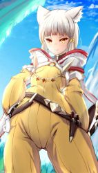 Rule 34 | animal ears, blunt bangs, bodysuit, breasts, cat ears, cat girl, facial mark, gloves, highres, jumpsuit, nia (xenoblade), nintendo, shindayomon, short hair, silver hair, small breasts, solo, white gloves, xenoblade chronicles (series), xenoblade chronicles 2, yellow bodysuit, yellow eyes