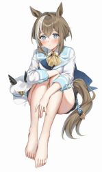 Rule 34 | 1girl, animal ears, bare legs, belt, blue eyes, blush, breasts, brown hair, cheval grand (umamusume), closed mouth, hair between eyes, hat, horse ears, horse girl, horse tail, looking at viewer, medium breasts, medium hair, oshage (osyage921), shorts, sitting, solo, tail, umamusume, unworn hat, unworn headwear, white background
