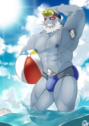 1boy abs arm_up armpit_hair armpits bad_id bad_twitter_id ball bara beachball beard biceps blue_male_swimwear boku_no_hero_academia bulge colored_skin dannon_5 facial_hair facial_mark furry furry_male goggles goggles_on_head grey_skin grin hand_on_own_head holding holding_ball holding_beachball looking_at_viewer male_focus male_swimwear muscular muscular_male navel_hair nipples ocean one_eye_closed pectorals selkie_(boku_no_hero_academia) smile standing topless_male waves whiskers white_hair