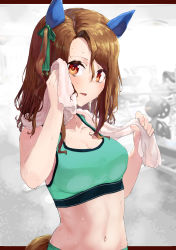 Rule 34 | 1girl, animal ears, bare shoulders, blush, bow, breasts, brown hair, cleavage, collarbone, commentary, cowboy shot, drying, ear covers, ear ribbon, green pants, green ribbon, green sports bra, groin, gym, hair between eyes, highres, horse ears, horse girl, horse tail, king halo (umamusume), long hair, looking at viewer, medium breasts, midriff, navel, pants, parted bangs, parted lips, red eyes, ribbon, sidelocks, solo, sports bra, standing, sweat, tail, tark (318), towel, towel around neck, umamusume, w arms
