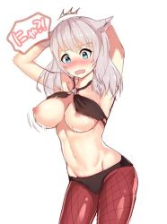 Rule 34 | 10s, 1girl, ^^^, areola slip, armpits, arms up, bad id, bad twitter id, blue eyes, blush, breast slip, breasts, breasts out, brown pantyhose, final fantasy, final fantasy xiv, fishnet pantyhose, fishnets, large breasts, long hair, miqo&#039;te, navel, nipples, open mouth, pantyhose, ratio (ratio-d), red pantyhose, silver hair, simple background, solo, surprised, wardrobe malfunction, warrior of light (ff14), white background