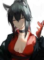 Rule 34 | 1girl, animal ear fluff, animal ears, arknights, black hair, black jacket, blood, blood on face, breasts, breasts apart, center opening, choker, cigarette, closed mouth, collared shirt, commentary, english commentary, gloves, gnai, hand up, highres, holding, holding cigarette, jacket, long hair, long sleeves, looking at viewer, no bra, ponytail, red gloves, red shirt, shirt, simple background, solo, texas (arknights), texas (willpower) (arknights), upper body, watch, white background, wolf ears, wristwatch, yellow eyes