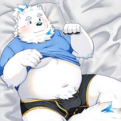 Rule 34 | 1boy, absurdres, animal ears, bara, belly, black male underwear, blue fur, blush, boxer briefs, bulge, cowboy shot, dog boy, dog ears, fat, fat man, furry, furry male, highres, lifted by self, live a hero, looking at viewer, lying, male focus, male underwear, multicolored hair, navel, nipples, no pants, nyaoru (ruoain), on back, on bed, solo, stomach, streaked hair, thick eyebrows, thighs, underpec, underwear, white fur, yohack