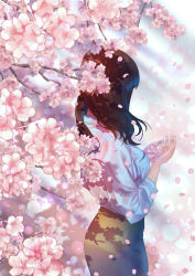 Rule 34 | 1girl, blue skirt, blurry, branch, breasts, brown hair, brown skirt, cherry blossoms, cowboy shot, dappled sunlight, day, depth of field, facing away, from above, from side, hair blowing, holding, holding petal, light rays, long hair, long sleeves, medium breasts, nsplash, open hands, original, outdoors, own hands together, petals, shadow, skirt, sleeves rolled up, solo, standing, sunbeam, sunlight, wind