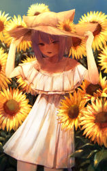 Rule 34 | 1girl, :d, absurdres, arms up, blush, brown hat, collarbone, cowboy shot, dress, fang, field, flower, flower field, hair between eyes, hands on headwear, hat, hat flower, highres, hololive, looking at viewer, medium hair, nanome to, nekomata okayu, open mouth, purple hair, short sleeves, skin fang, smile, solo, standing, straw hat, sunflower, sunflower field, virtual youtuber, white dress, yellow flower