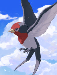 Rule 34 | animal focus, bird, black eyes, blue sky, claws, cloud, creatures (company), day, flying, from side, full body, game freak, gen 3 pokemon, highres, katamuki, looking up, nintendo, no humans, open mouth, outdoors, pokemon, pokemon (creature), sky, solo, spread wings, taillow
