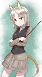 Rule 34 | 1girl, animal ears, brave witches, brown eyes, cowboy shot, crossed arms, edytha rossmann, fox ears, fox tail, highres, holding, holding pointer, looking at viewer, makinon, military, military uniform, pointer, short hair, silver hair, smile, solo, tail, uniform, world witches series