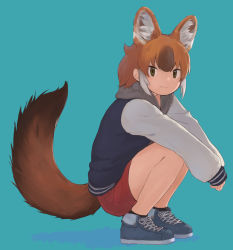 Rule 34 | animal ears, blue footwear, brown eyes, brown hair, dhole (kemono friends), dog ears, dog girl, dog tail, extra ears, grey hoodie, highres, hood, hood down, hoodie, jacket, kemono friends, kemono friends 3, letterman jacket, light brown hair, long sleeves, looking at viewer, multicolored hair, official alternate costume, red shorts, rumenia (ao2is), shoes, short shorts, shorts, sidelocks, sneakers, solo, squatting, tail, white hair