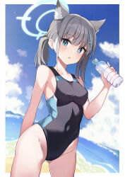 Rule 34 | 1girl, absurdres, animal ear fluff, animal ears, azunyan, beach, black one-piece swimsuit, blue archive, blue eyes, blue sky, bottle, breasts, cloud, competition swimsuit, covered navel, cowboy shot, cross hair ornament, day, extra ears, grey hair, hair ornament, halo, highres, horizon, looking at viewer, low ponytail, medium breasts, medium hair, mismatched pupils, multicolored clothes, multicolored swimsuit, ocean, official alternate costume, one-piece swimsuit, outdoors, shiroko (blue archive), shiroko (swimsuit) (blue archive), sky, solo, swimsuit, wolf ears