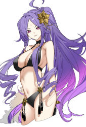 Rule 34 | 1girl, ahoge, arlizi, bare shoulders, bikini, black bikini, black gloves, breasts, cleavage, collarbone, facial mark, fate/grand order, fate (series), flower, forehead, forehead mark, gloves, hair flower, hair ornament, half gloves, highres, large breasts, long hair, looking at viewer, navel, parted bangs, ponytail, purple eyes, purple hair, sidelocks, smile, solo, swimsuit, thighs, very long hair, wu zetian (fate), wu zetian (swimsuit caster) (fate), wu zetian (swimsuit caster) (third ascension) (fate)