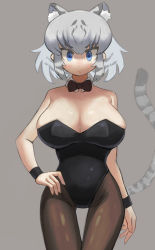Rule 34 | 1girl, animal ear fluff, animal ears, arm at side, bad id, bad pixiv id, bare shoulders, black bow, black bowtie, black leotard, black pantyhose, blue eyes, bow, bowtie, breasts, commentary, detached collar, extra ears, grey background, hand on own hip, highres, kemono friends, large breasts, leotard, looking at viewer, pantyhose, playboy bunny, short hair, simple background, solo, straight-on, tail, thigh gap, tiger ears, tiger girl, tiger tail, traditional bowtie, white tiger (kemono friends), wrist cuffs, zuchi00