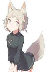 Rule 34 | 1girl, animal ears, blue eyes, buttons, dress shirt, fang, fox ears, fox tail, green hair, looking at viewer, makihitsuji, messy hair, open mouth, original, shirt, short hair, simple background, smirk, solo, tail, v arms, white background