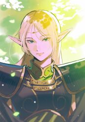 Rule 34 | 1girl, armor, blonde hair, commentary, deedlit, elf, high collar, highres, leaf, long hair, looking at viewer, nshi, pointy ears, record of lodoss war, shoulder pads, solo, sunlight, tree, upper body
