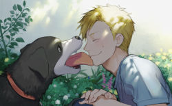 Rule 34 | 00s, alphonse elric, bad id, bad pixiv id, blonde hair, collar, den (fma), dog, face, licking another&#039;s face, fullmetal alchemist, garden, licking, male focus, noako, smile, sweat