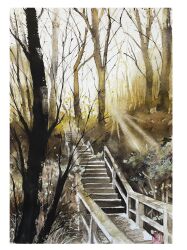 Rule 34 | absurdres, forest, highres, hill, landscape, morning, nature, no humans, original, painting (medium), railing, sazanka 352, shadow, stairs, sunlight, sunrise, traditional media, tree, tree shade, watercolor (medium)