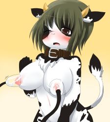 Rule 34 | animal ears, blush, breasts, collar, cow ears, cow girl, cow horns, cow tail, furry, horns, kagerofu, lactation, large breasts, milking machine, nipples, tail, wince
