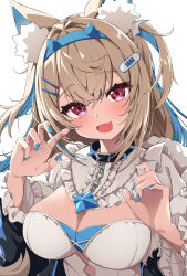 Rule 34 | 1girl, absurdres, animal ear fluff, animal ears, bandaid, bandaid hair ornament, black collar, black jacket, blonde hair, blue hair, blue nails, blush, breasts, chain, chain leash, cleavage, collar, commentary, dog ears, dog girl, dress, fang, fumi (fumibeing), fuwawa abyssgard, fuwawa abyssgard (1st costume), hair ornament, hairclip, hands up, highres, hololive, hololive english, jacket, large breasts, leash, long hair, looking at viewer, multicolored hair, nail polish, open mouth, pink eyes, simple background, skin fang, smile, solo, streaked hair, symbol-only commentary, two side up, upper body, virtual youtuber, white background, white dress