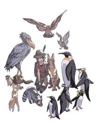 Rule 34 | 10s, 1girl, american beaver (kemono friends), animalization, backpack, bag, ball, beaver, bird, cat, common raccoon (kemono friends), emperor penguin (kemono friends), eurasian eagle owl (kemono friends), fennec (kemono friends), fennec fox, fox, gentoo penguin (kemono friends), gloves, hat, highres, hirasawa geko, humboldt penguin (kemono friends), kaban (kemono friends), kemono friends, multiple girls, northern white-faced owl (kemono friends), otter, owl, pantyhose, penguin, raccoon, rockhopper penguin (kemono friends), royal penguin (kemono friends), serval, serval (kemono friends), shoebill, shoebill (kemono friends), sitting, small-clawed otter (kemono friends), smile, white background