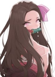 Rule 34 | 1girl, absurdres, blush, brown hair, closed mouth, covered erect nipples, eyes visible through hair, fang, highres, japanese clothes, kamado nezuko, kimetsu no yaiba, kimono, long hair, pink eyes, rabbit (wlsdnjs950), see-through, simple background, slit pupils, solo, tearing up, tears, upper body, white background