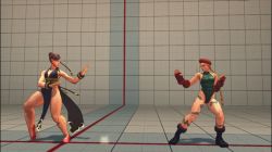 Rule 34 | 2girls, alternate costume, animated, animated gif, ass, bare legs, battle, blonde hair, boots, braid, breasts, brown hair, cammy white, capcom, china dress, chinese clothes, chun-li, dress, fight, injury, jumping, large breasts, leotard, long hair, multiple girls, pain, street fighter, street fighter iv (series)