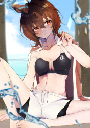 Rule 34 | 1girl, absurdres, agnes tachyon (umamusume), ahoge, alternate costume, animal ears, bare shoulders, barefoot, bikini, black bikini, blue sky, blurry, blurry background, breasts, brown hair, cleavage, collarbone, commentary request, day, feet, gorioshi0802, hair between eyes, highres, horse ears, horse girl, jacket, jacket on shoulders, medium breasts, messy hair, navel, outdoors, shorts, sitting, sky, solo, stomach, strap pull, swimsuit, toes, umamusume, white shorts