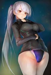 Rule 34 | 1girl, breasts, competition swimsuit, highres, jacket, large breasts, long hair, long sleeves, looking at viewer, one-piece swimsuit, original, ponytail, red eyes, silver hair, solo, swimsuit, swimsuit under clothes, taishi (picchiridou), tsuru-chan, very long hair, zipper
