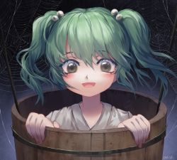 Rule 34 | 1girl, :d, absurdres, blush, bucket, dark background, gradient background, green hair, grey background, hair bobbles, hair ornament, highres, in bucket, in container, kisume, looking at viewer, open mouth, shianebulae, short hair, silk, simple background, smile, solo, spider web, touhou, two side up, wooden bucket