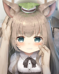 Rule 34 | 1girl, 1other, animal ear fluff, animal ears, annoyed, blue eyes, blush, brown hair, cheek pinching, clenched teeth, dog ears, dog girl, dog tail, food, food on head, hand on another&#039;s cheek, hand on another&#039;s face, hand on another&#039;s head, headpat, highres, leaf, leaf on head, looking at viewer, object on head, original, pinching, pov, psyche3313, shirt, tail, teeth, trembling, upper body, white shirt