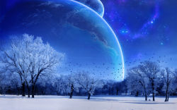 Rule 34 | bird, blue theme, earth (planet), highres, moon, planet, scenery, sky, snow, star (sky), star (symbol), starry sky, tree