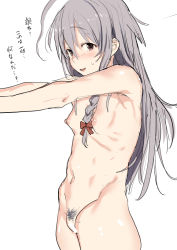 Rule 34 | 1girl, ahoge, armpits, azuse neko, bar censor, bow, braid, breasts, brown eyes, censored, cowboy shot, female pubic hair, grey hair, hair between eyes, hair bow, hoshi syoko, huge ahoge, idolmaster, idolmaster cinderella girls, long hair, navel, nipples, nude, open mouth, outstretched arms, pubic hair, red bow, ribs, side braid, simple background, small breasts, smile, solo, stomach, straight hair, translation request, white background
