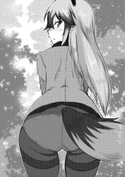 Rule 34 | 10s, 1girl, animal ears, ass, backlighting, blush, closed mouth, commentary request, cowboy shot, crotch seam, fox ears, fox tail, from behind, greyscale, hair between eyes, highres, kemono friends, leaning forward, light frown, long sleeves, looking back, monochrome, no pants, panties, panties under pantyhose, pantyhose, profile, saku (saku1151), shirt, silver fox (kemono friends), standing, tail, thighband pantyhose, tsurime, underwear