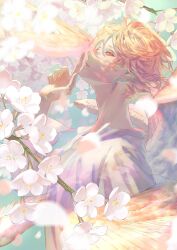 Rule 34 | 1boy, angel wings, bird, blonde hair, blurry, branch, cherry blossoms, fasna, feathered wings, finger to mouth, flower, hair between eyes, hand up, index finger raised, looking at viewer, male focus, orange eyes, orange hair, original, parted lips, petals, shirt, short hair, shushing, solo, upper body, white flower, white shirt, white wings, wings