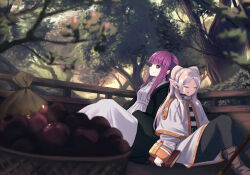 Rule 34 | 2girls, absurdres, apple, basket, belt buckle, black pantyhose, black robe, blunt bangs, book, boots, brown footwear, buckle, capelet, cart, closed eyes, commentary request, dangle earrings, dress, earrings, fern (sousou no frieren), food, forest, frieren, fruit, highres, holding, holding book, jewelry, kean gindesgaard, long hair, long sleeves, multiple girls, nature, open mouth, outdoors, pantyhose, parted bangs, pointy ears, purple eyes, purple hair, robe, shirt, sidelocks, sousou no frieren, staff, straight hair, striped clothes, striped shirt, twintails, white capelet, white dress, white hair