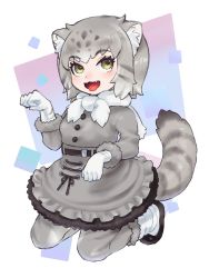 Rule 34 | 1girl, :p, an-chan (ananna0315), animal ears, black fur, blush, boots, buttons, cat ears, cat girl, cat tail, commentary request, fangs, frilled skirt, frills, fur trim, gloves, grey fur, grey hair, grey pantyhose, grey skirt, grey sweater, high-waist skirt, highres, kemono friends, kneeling, long sleeves, multicolored hair, open mouth, pallas&#039;s cat (kemono friends), pantyhose, paw pose, short hair, skirt, solo, sweater, tail, tongue, tongue out, white footwear, white gloves, white hair, white neckwear, yellow eyes
