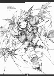 Rule 34 | artist request, asymmetrical clothes, facial mark, fingerless gloves, gloves, greyscale, head wings, highres, lyrical nanoha, mahou shoujo lyrical nanoha, mahou shoujo lyrical nanoha a&#039;s, monochrome, reinforce, single thighhigh, source request, thighhighs, wings