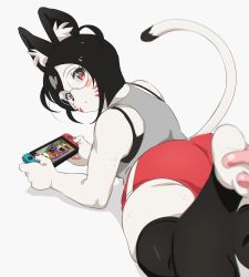 Rule 34 | 1girl, absurdres, animal ears, animal hands, ass, ass focus, breasts, cat ears, from behind, furry, furry female, glasses, highres, indie virtual youtuber, kisa niya, marking on cheek, medium breasts, nintendo switch, non-web source, plump, round eyewear, self-upload, shorts, thighhighs, tomatomagica, virtual youtuber