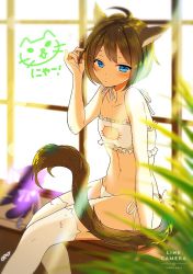 Rule 34 | !, 10s, 1girl, 2012, 6 (roku), ahoge, animal ear legwear, animal ears, arm support, backlighting, bell, blurry, blush, bow, breasts, brown hair, cat, cat cutout, cat day, cat ear legwear, cat ear panties, cat ears, cat lingerie, cat tail, chibi, chibi inset, cleavage cutout, closed mouth, clothing cutout, dated, depth of field, english text, frills, twirling hair, indoors, jingle bell, meme attire, navel, omucchan (omutyuan), original, palm tree, panties, short hair, side-tie panties, signature, sitting, small breasts, solo, stomach, stuffed animal, stuffed cat, stuffed toy, sunlight, tail, tail bow, tail ornament, text focus, thighhighs, tree, underwear, underwear only, white bow, white panties, white thighhighs, window