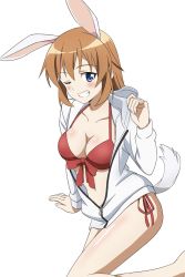 Rule 34 | 1girl, bikini, blue eyes, blush, breasts, charlotte e. yeager, cleavage, collarbone, grin, highres, jacket, kanata mako, large breasts, long hair, looking at viewer, navel, one eye closed, orange hair, rabbit ears, rabbit girl, rabbit tail, red bikini, side-tie bikini bottom, simple background, smile, solo, strike witches, swimsuit, track jacket, white background, world witches series