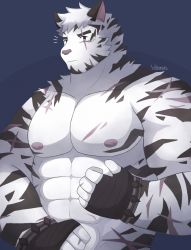Rule 34 | 1boy, abs, animal ears, arknights, bandaged hand, bandages, bara, furry, furry male, highres, large pectorals, looking at viewer, male focus, mountain (arknights), muscular, muscular male, nipples, nude, pectorals, scar, scar across eye, scar on arm, scar on chest, scar on face, short hair, solo, tiger boy, tiger ears, upper body, watanukitail, white fur, white hair