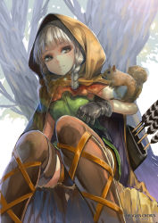 Rule 34 | 1girl, akizone, arrow (projectile), boots, braid, cloak, dragon&#039;s crown, elf (dragon&#039;s crown), hood, pointy ears, solo, squirrel, thigh boots, thighhighs, twin braids