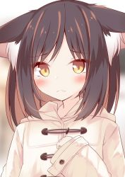 Rule 34 | 1girl, animal ear fluff, animal ears, black hair, blurry, blurry background, blush, brown eyes, brown hair, closed mouth, coat, commentary request, daidai ookami, depth of field, fang, fang out, hand up, hood, hood down, hooded coat, long hair, long sleeves, looking at viewer, multicolored hair, original, parted bangs, sleeves past wrists, solo, streaked hair, two-tone hair, upper body, white coat