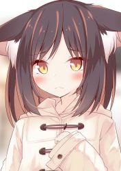 1girl animal_ear_fluff animal_ears black_hair blurry blurry_background blush brown_eyes brown_hair closed_mouth coat commentary_request daidai_ookami depth_of_field fang fang_out hand_up hood hood_down hooded_coat long_hair long_sleeves looking_at_viewer multicolored_hair original parted_bangs sleeves_past_wrists solo streaked_hair two-tone_hair upper_body white_coat