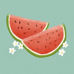 Rule 34 | blue background, commentary, english commentary, flower, food, food focus, fruit, highres, libbyframe, no humans, original, plant, simple background, still life, watermelon, watermelon slice, white flower