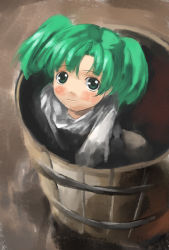 Rule 34 | 1girl, bucket, female focus, green eyes, green hair, in bucket, in container, kisume, sitting, solo, touhou, yohane
