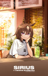 Rule 34 | 1girl, absurdres, animal ears, brown hair, casual, commentary, cup, drinking glass, drinking straw, ear ornament, english commentary, english text, eyebrows hidden by hair, food, fruit, hair between eyes, highres, horse ears, horse girl, light brown hair, lime (fruit), lime slice, long hair, looking at viewer, multicolored hair, neonfloyd, purple eyes, sirius symboli (umamusume), solo, two-tone hair, umamusume, watch, wristwatch