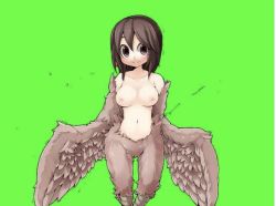 Rule 34 | 1girl, breasts, brown eyes, brown hair, game cg, harpy, harpy twins (mon-musu quest!), large breasts, mon-musu quest!, monster girl, nipples, nude, solo, winged arms, wings